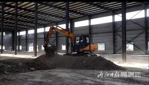 總投資4000萬元 隆昌年產(chǎn)600萬套寵物用品生產(chǎn)基地項目建設(shè)進展順利